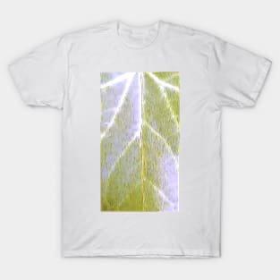 Simple Leaf Lines T-Shirt